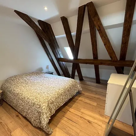 Apartment Le Gutenberg Strasbourg