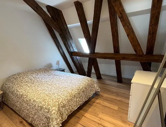 Apartmán Le Gutenberg Štrasburk