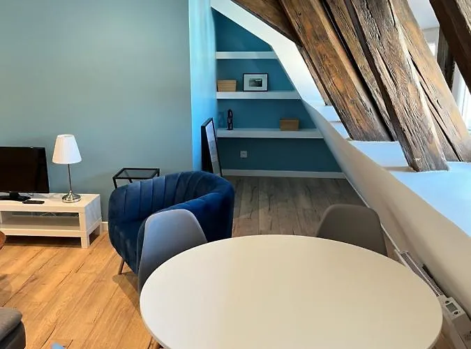 Apartmán Le Gutenberg Štrasburk