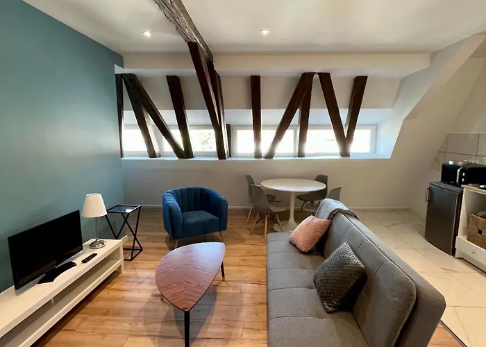 Apartmán Le Gutenberg Štrasburk